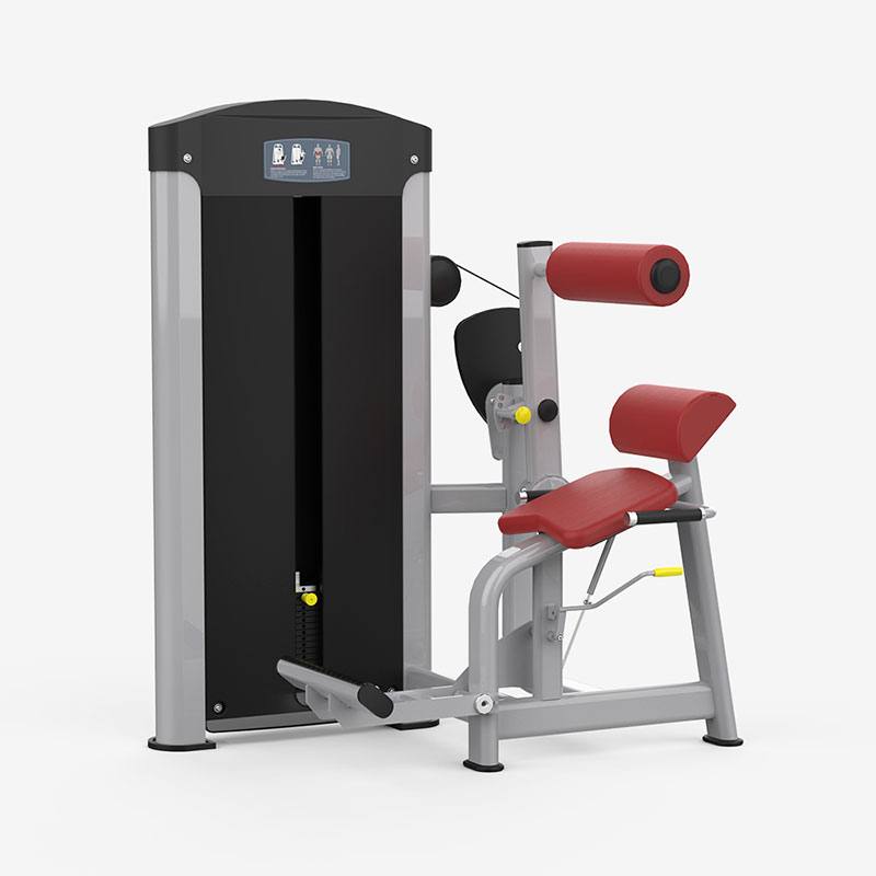 YC3017后压背训练器批发 背部伸展练习器供货方
