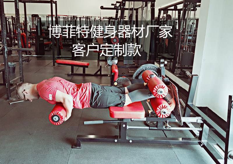 腿屈伸训练器