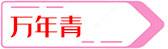 国内一线健身器材供货方品牌有哪些