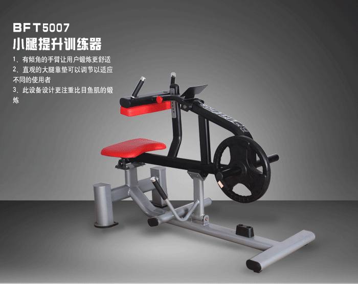 YC5007小腿提升训练器