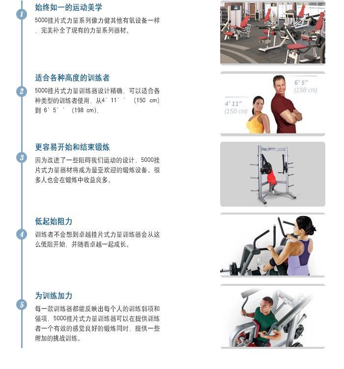 YC5009下斜推举训练器