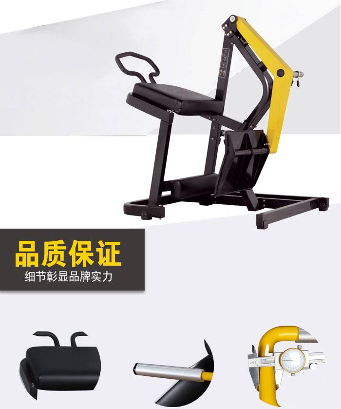 YC1008后蹬训练器