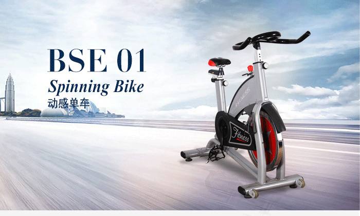 BSE01动感单车(灰色) BSE01动感单车(灰色)